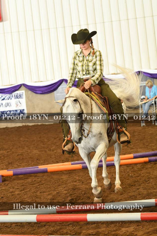 Proof 18YN_01242