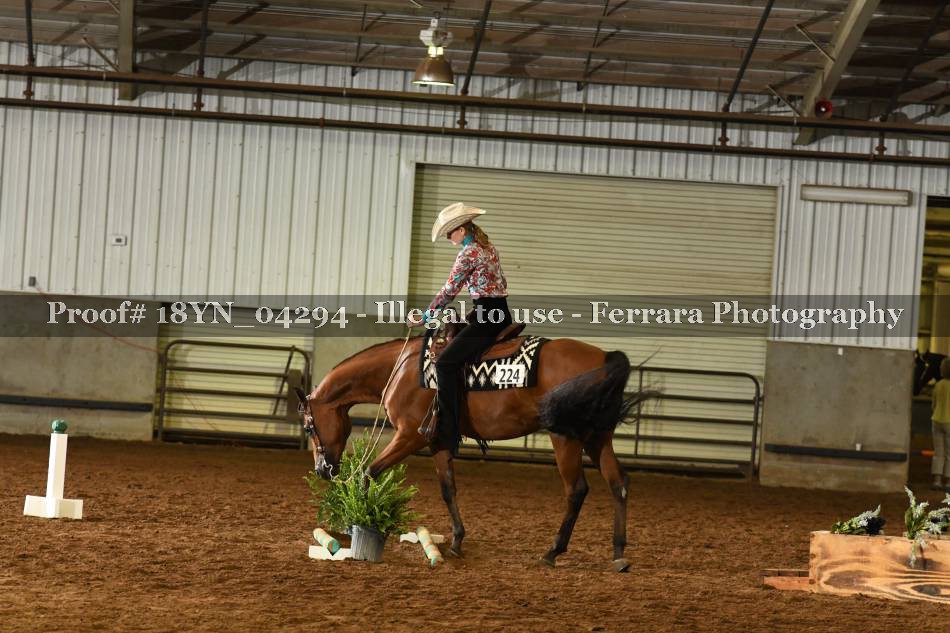 Proof 18YN_04294