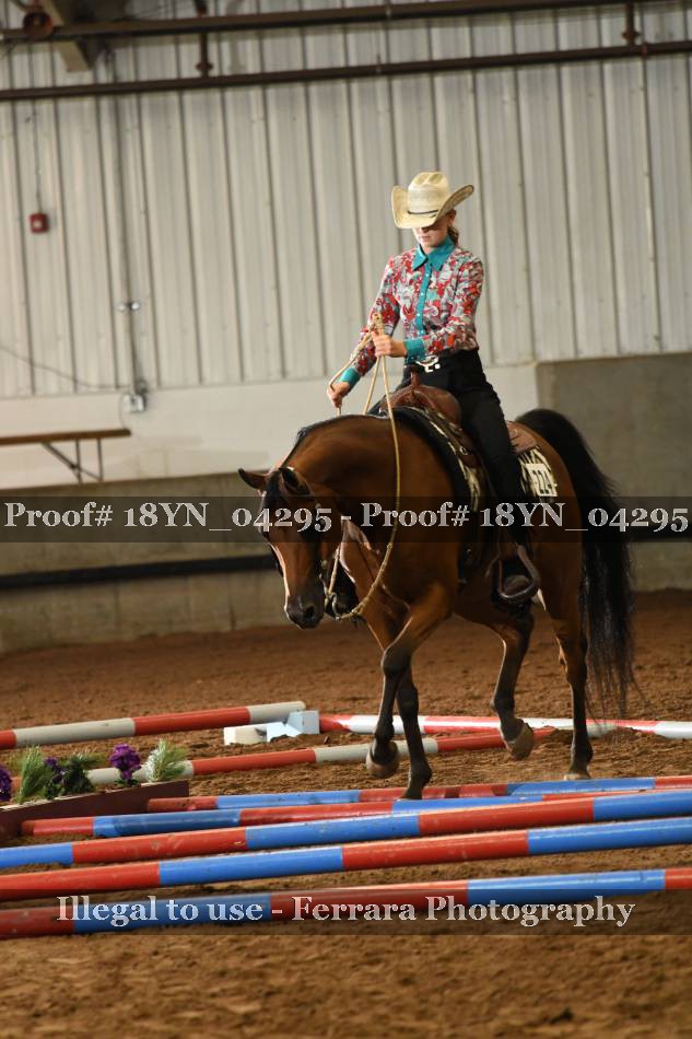 Proof 18YN_04295