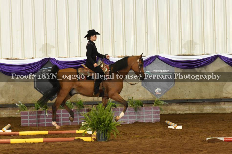 Proof 18YN_04296