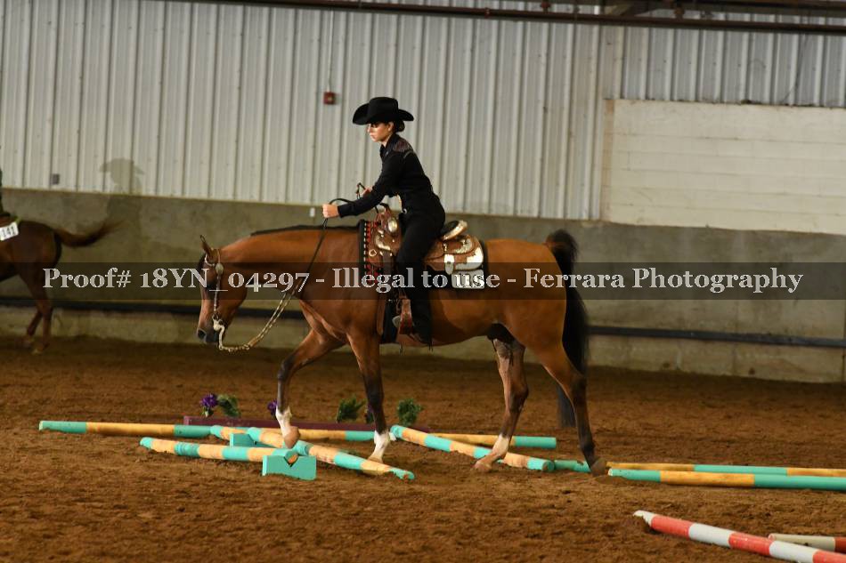 Proof 18YN_04297