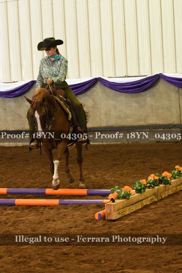 Proof 18YN_04305