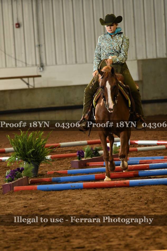 Proof 18YN_04306