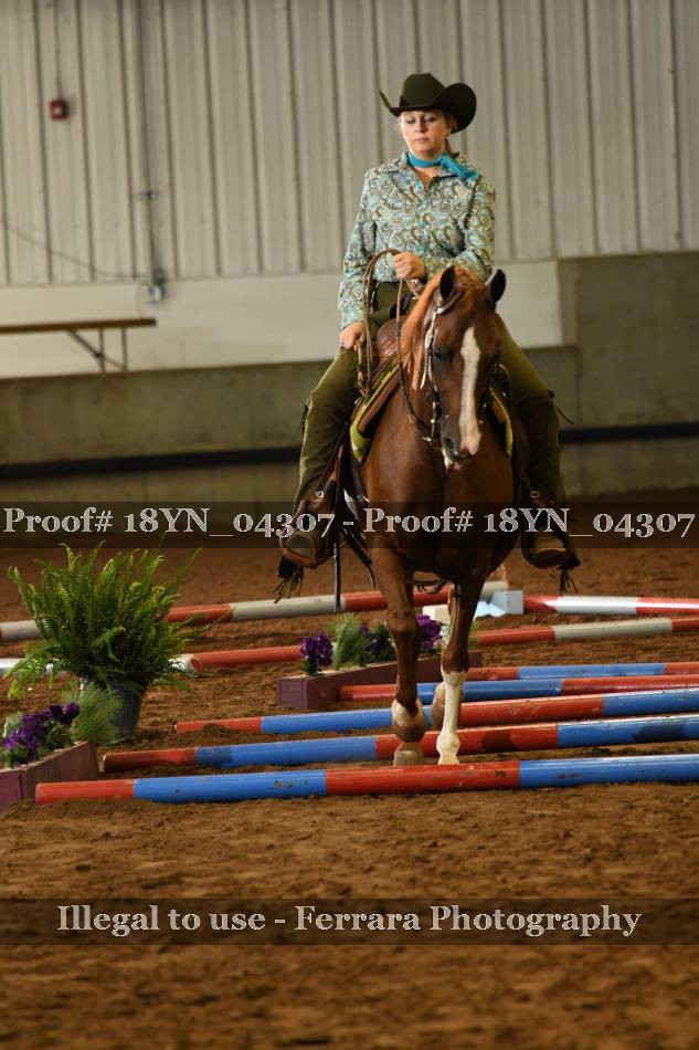 Proof 18YN_04307