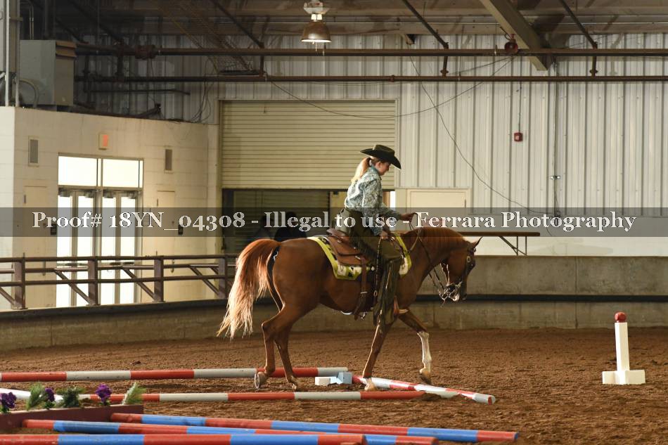 Proof 18YN_04308