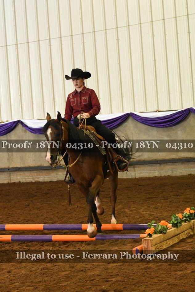 Proof 18YN_04310
