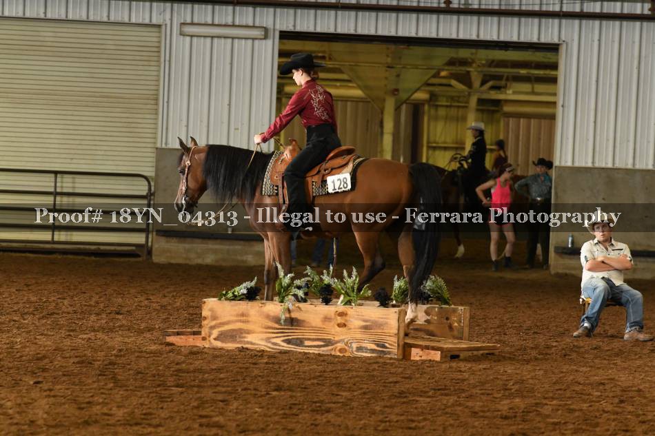 Proof 18YN_04313