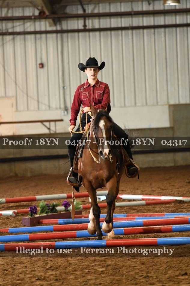 Proof 18YN_04317