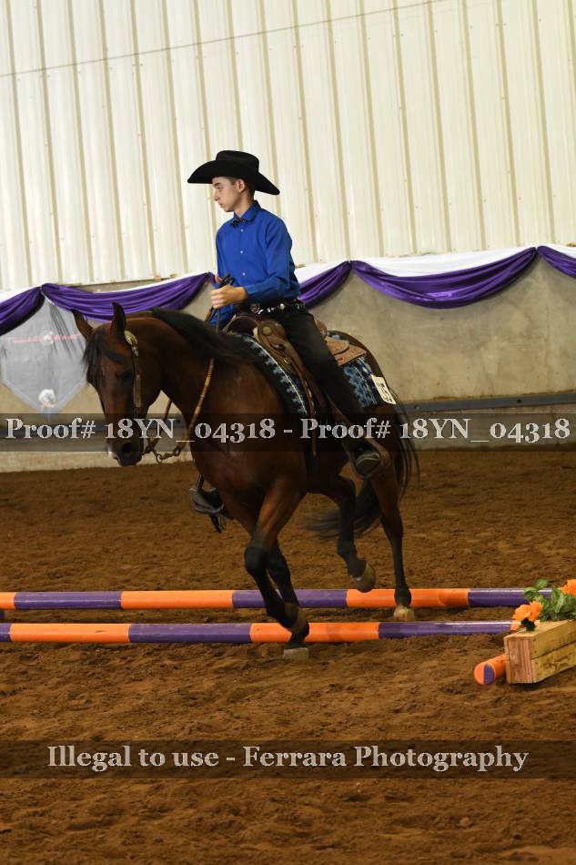 Proof 18YN_04318
