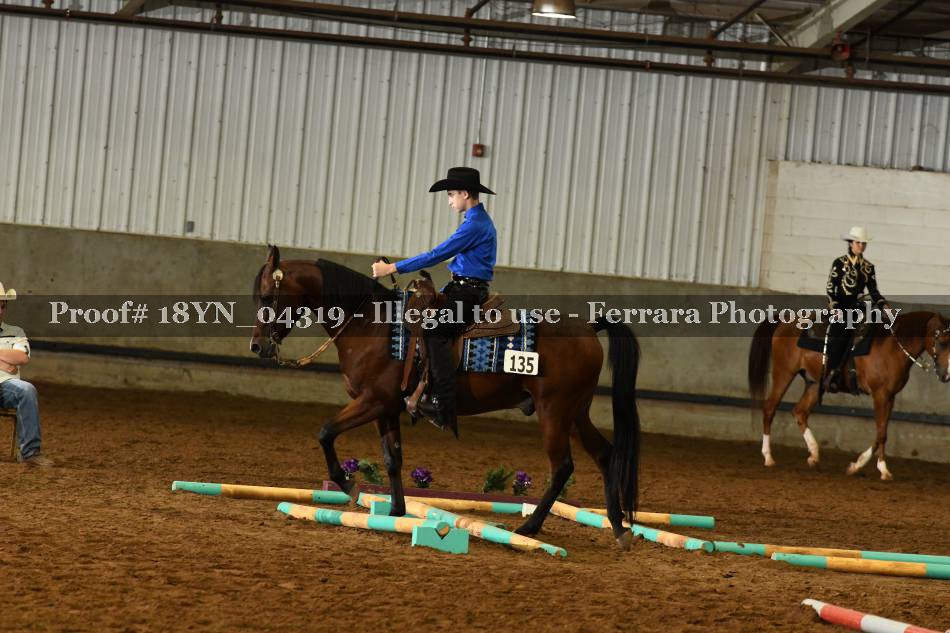 Proof 18YN_04319