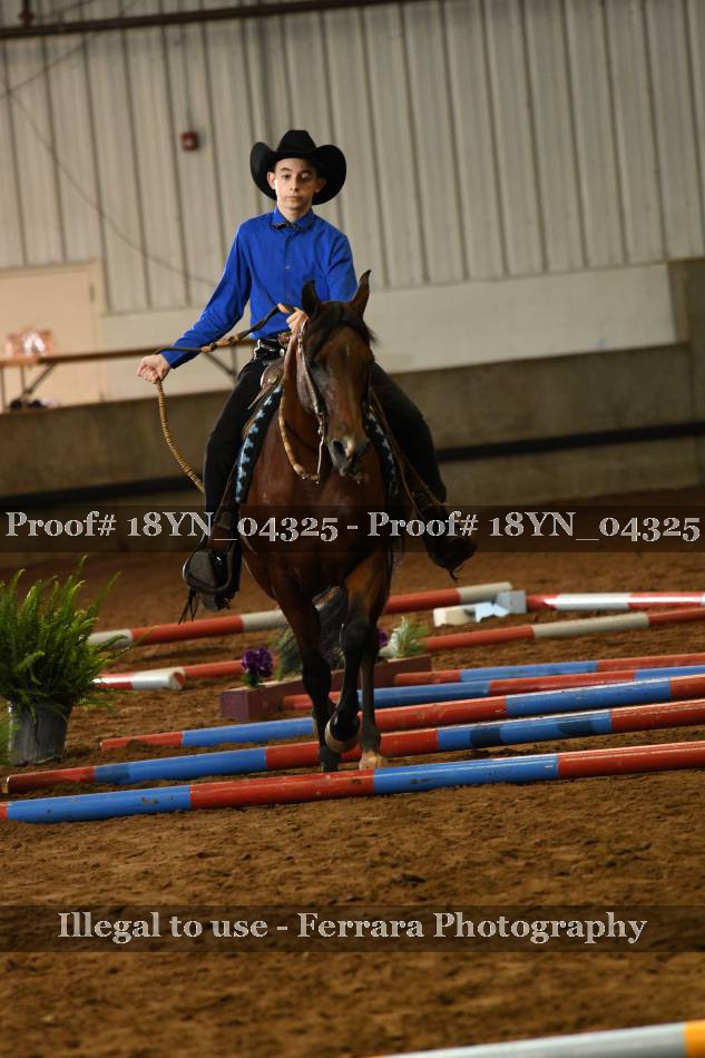 Proof 18YN_04325