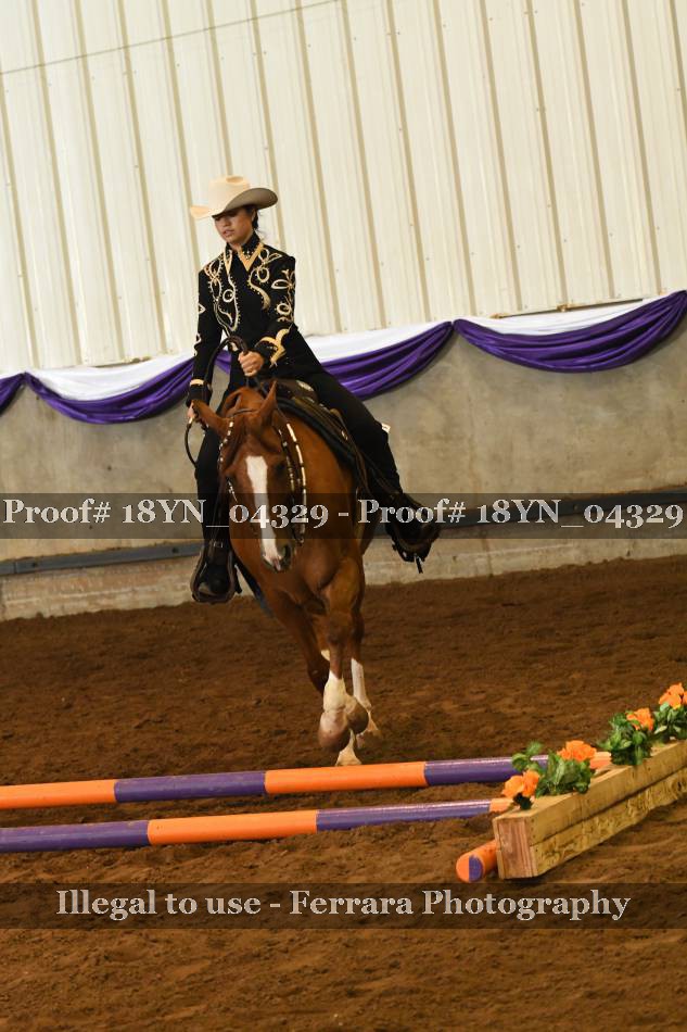 Proof 18YN_04329