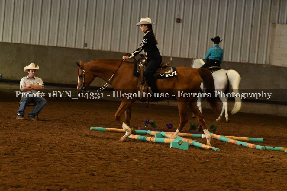 Proof 18YN_04331