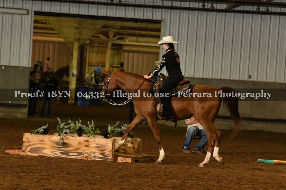 Proof 18YN_04332
