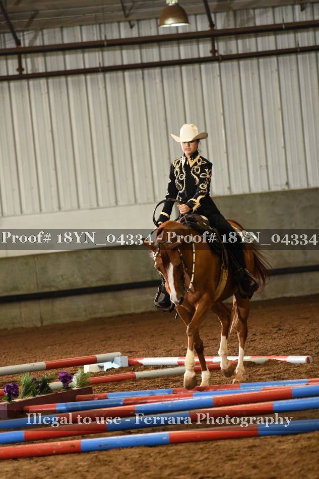 Proof 18YN_04334