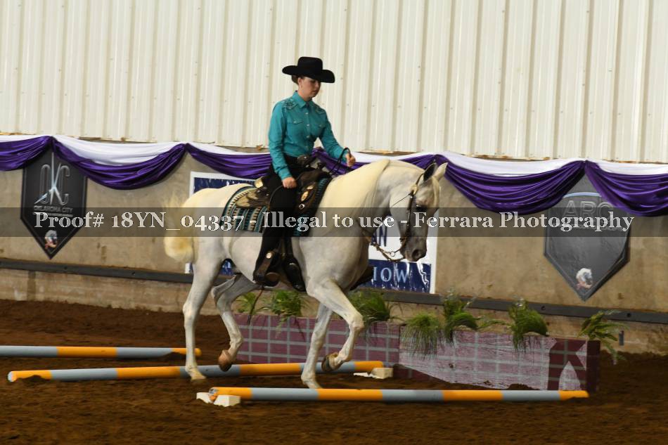 Proof 18YN_04337
