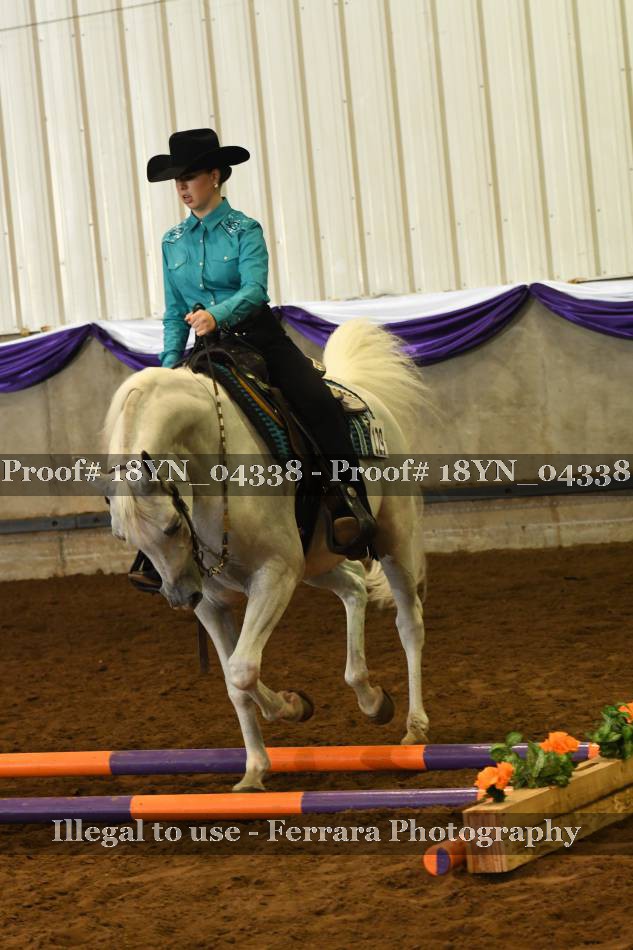 Proof 18YN_04338