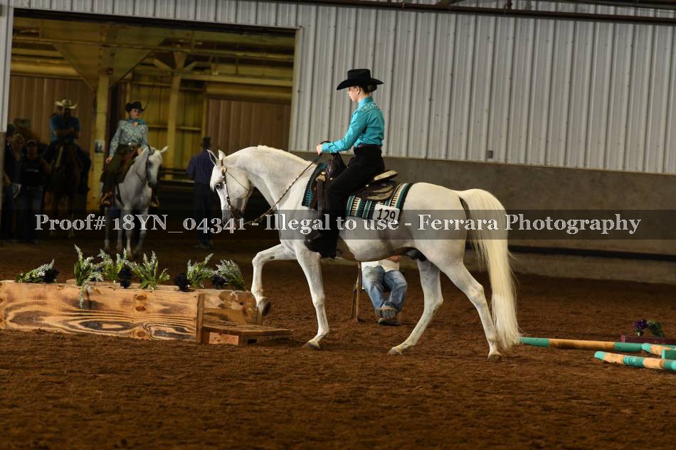 Proof 18YN_04341