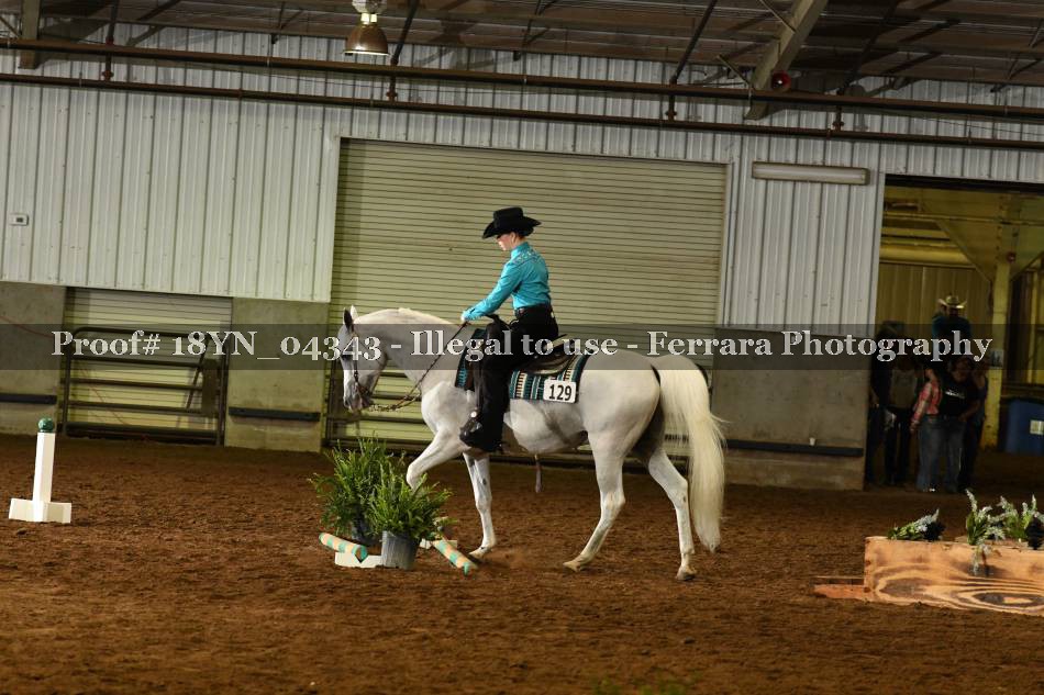 Proof 18YN_04343