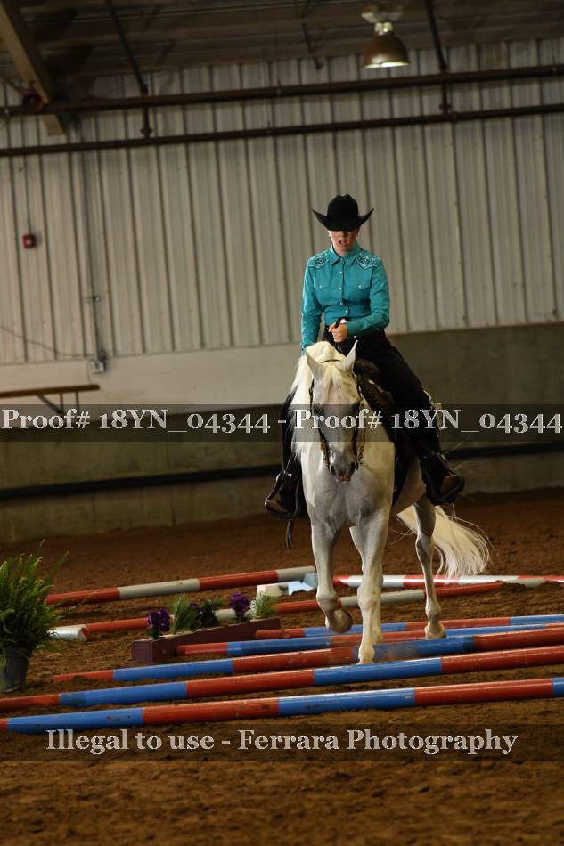 Proof 18YN_04344