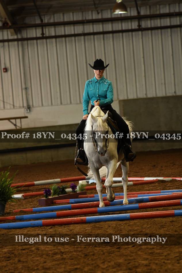 Proof 18YN_04345