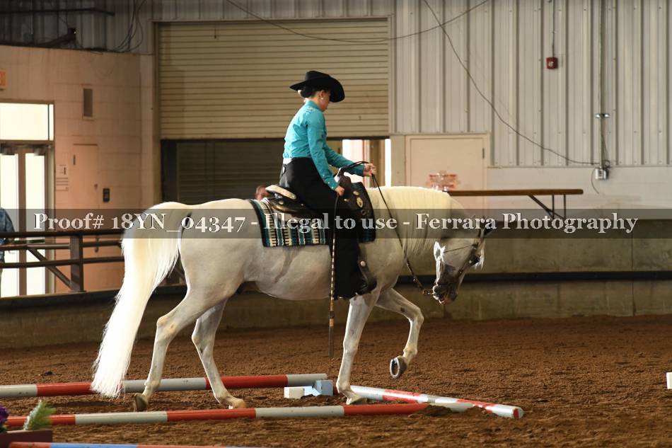 Proof 18YN_04347