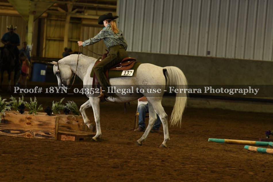 Proof 18YN_04352