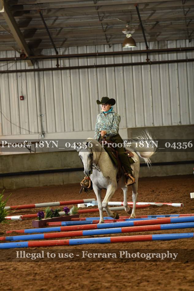 Proof 18YN_04356