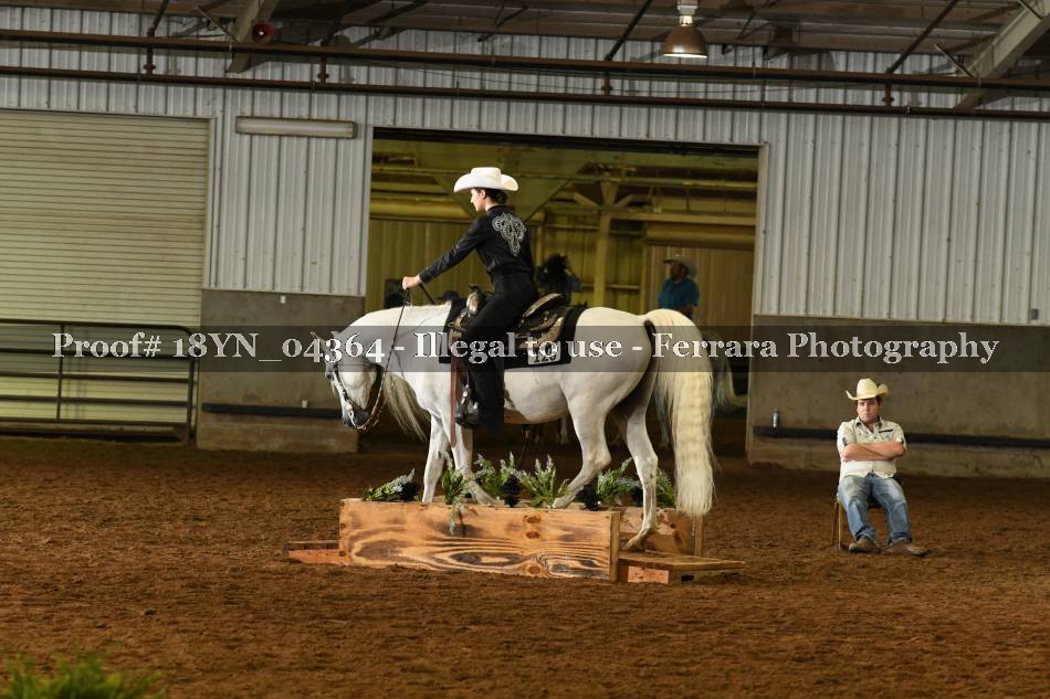 Proof 18YN_04364