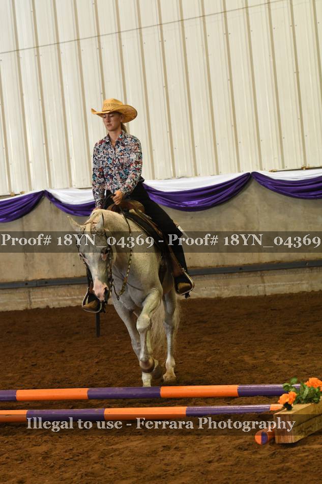 Proof 18YN_04369