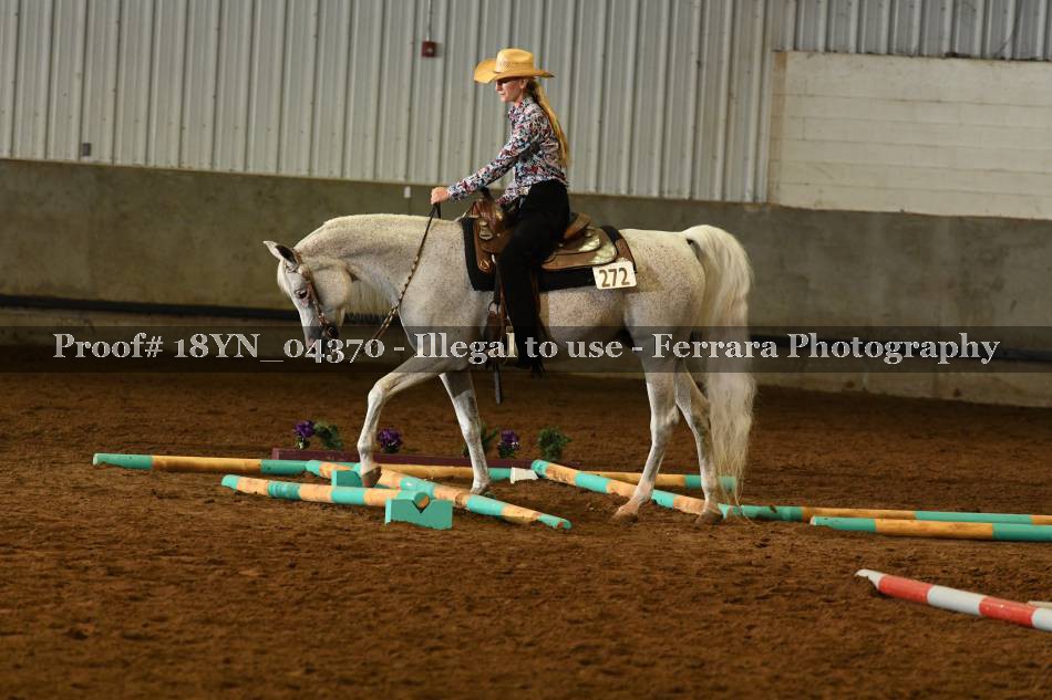 Proof 18YN_04370