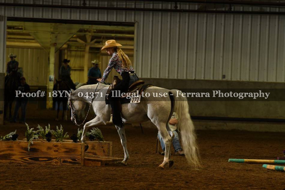 Proof 18YN_04371