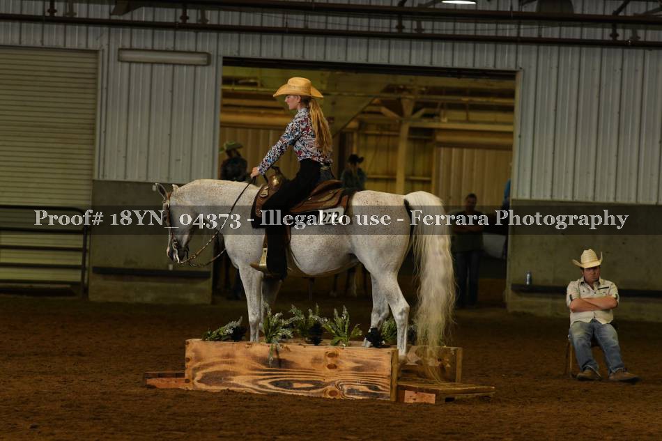 Proof 18YN_04373