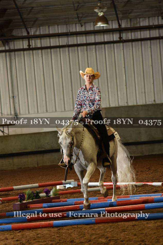 Proof 18YN_04375