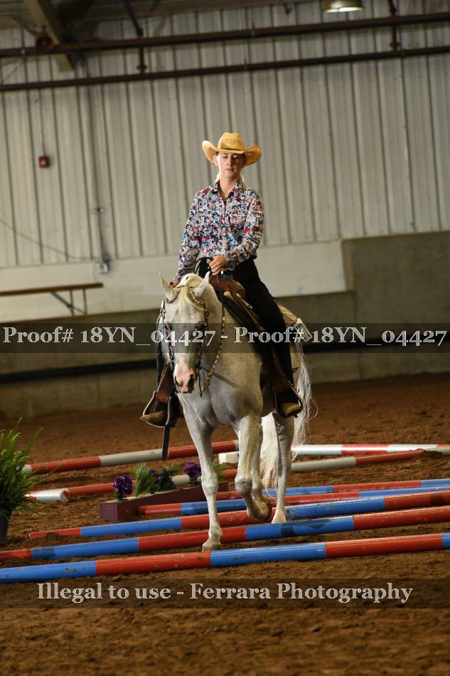 Proof 18YN_04427