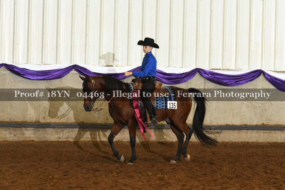 Proof 18YN_04463