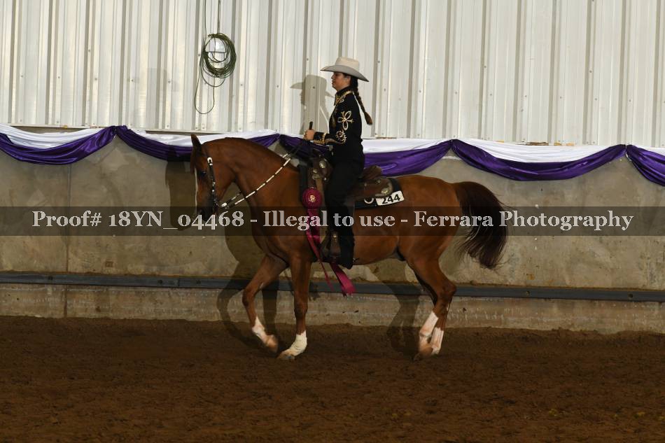 Proof 18YN_04468