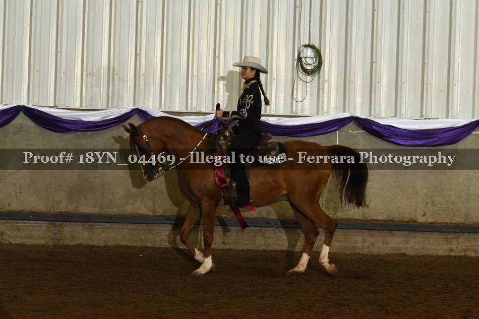 Proof 18YN_04469
