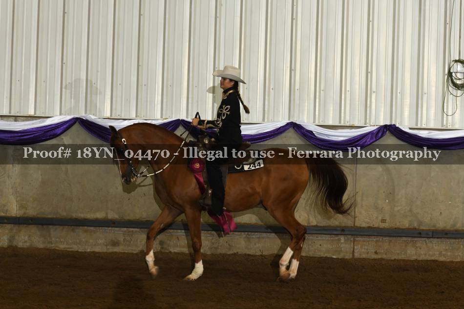 Proof 18YN_04470