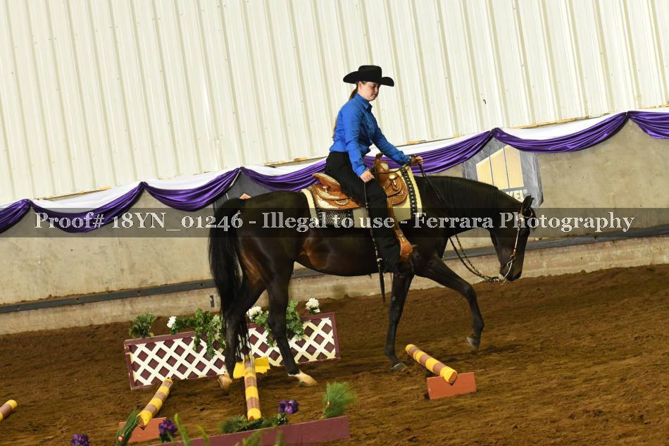 Proof 18YN_01246