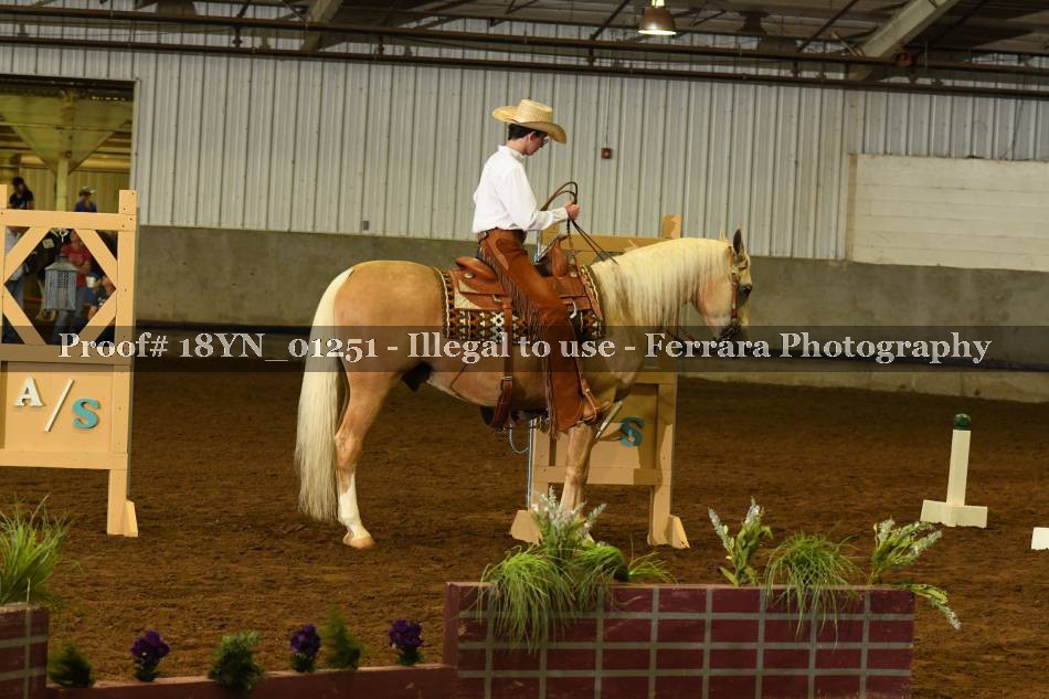 Proof 18YN_01251