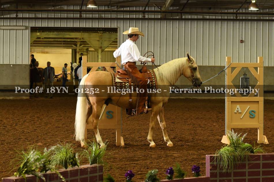 Proof 18YN_01252