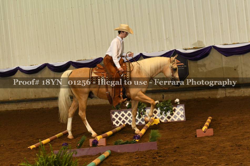 Proof 18YN_01256