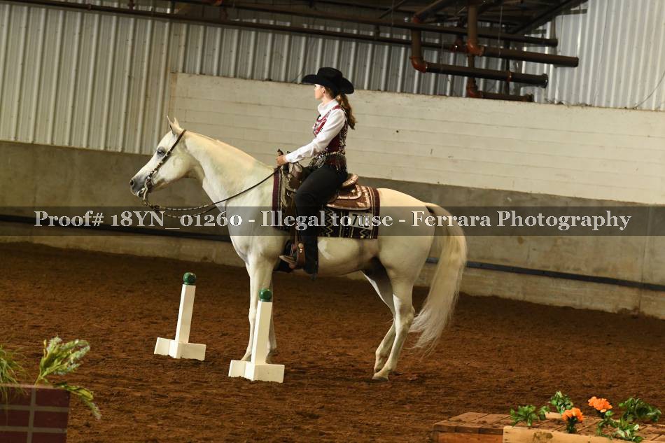 Proof 18YN_01260