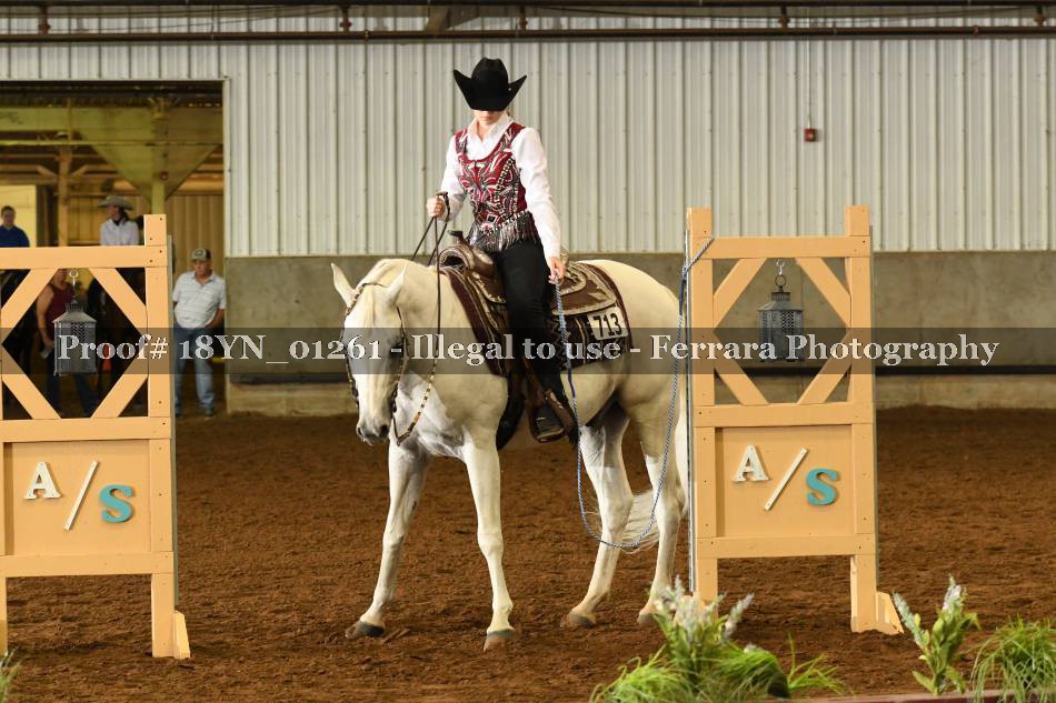 Proof 18YN_01261