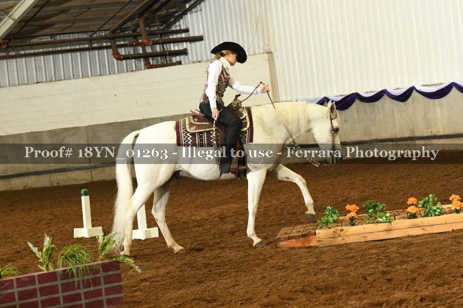 Proof 18YN_01263