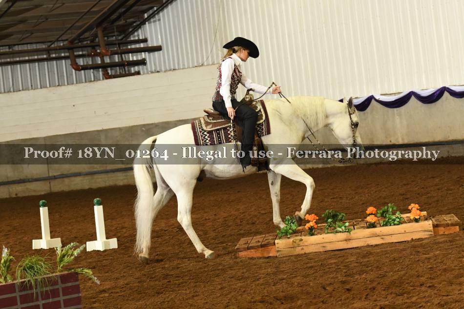 Proof 18YN_01264