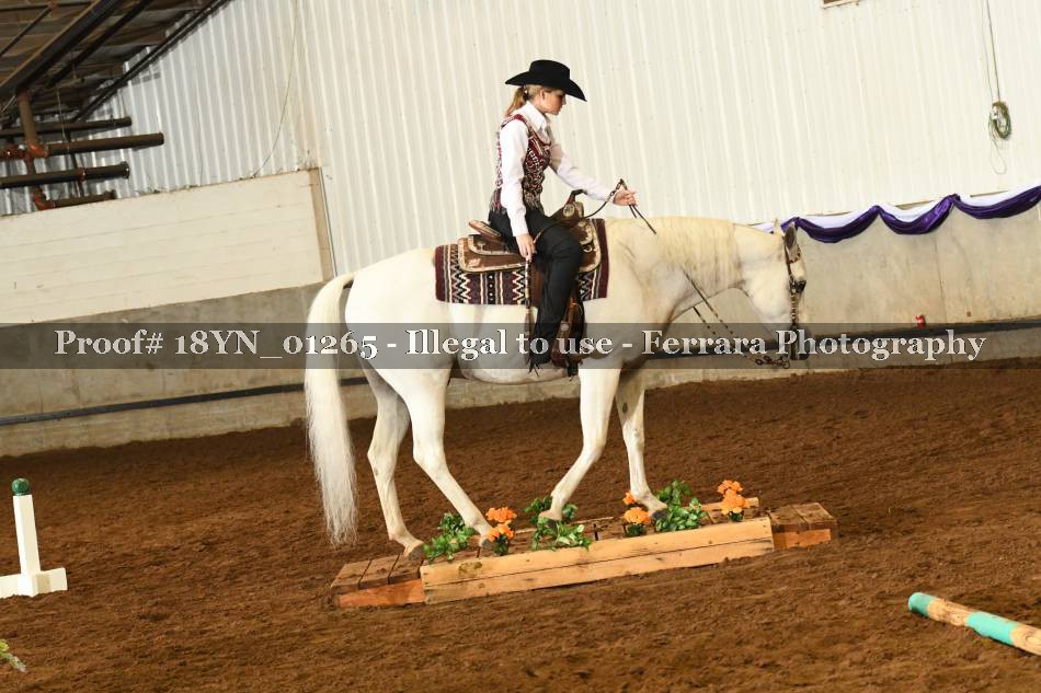 Proof 18YN_01265