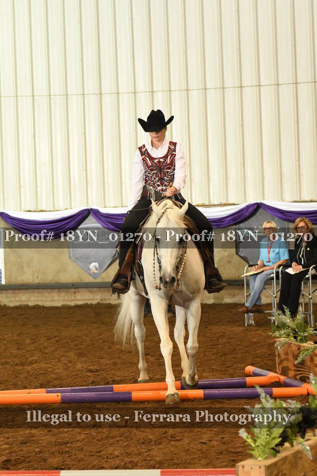 Proof 18YN_01270