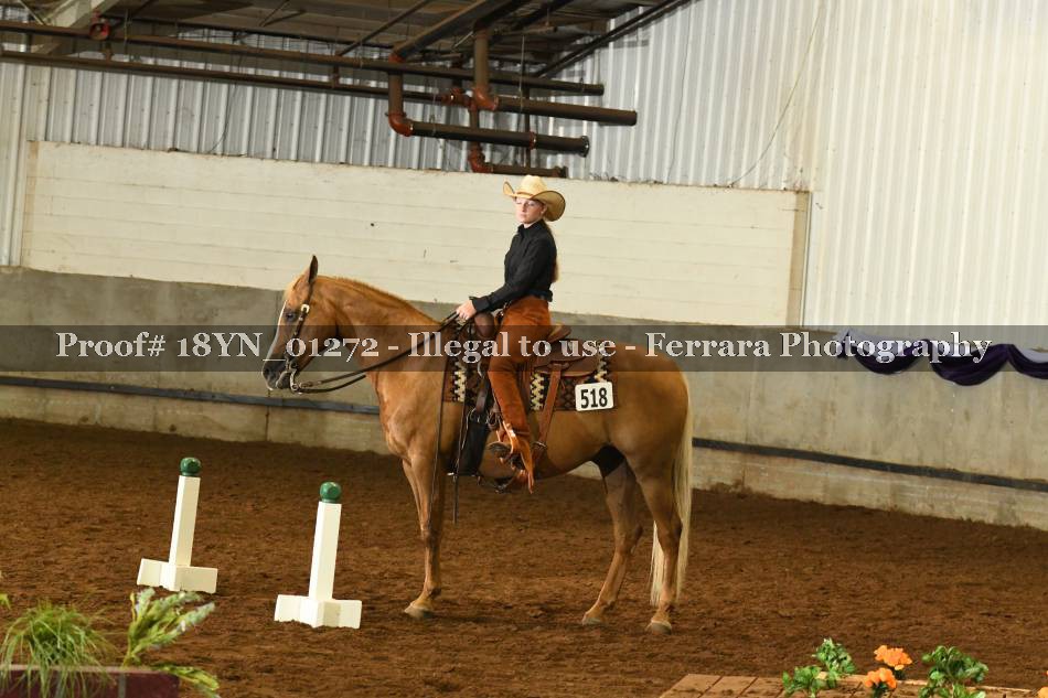 Proof 18YN_01272